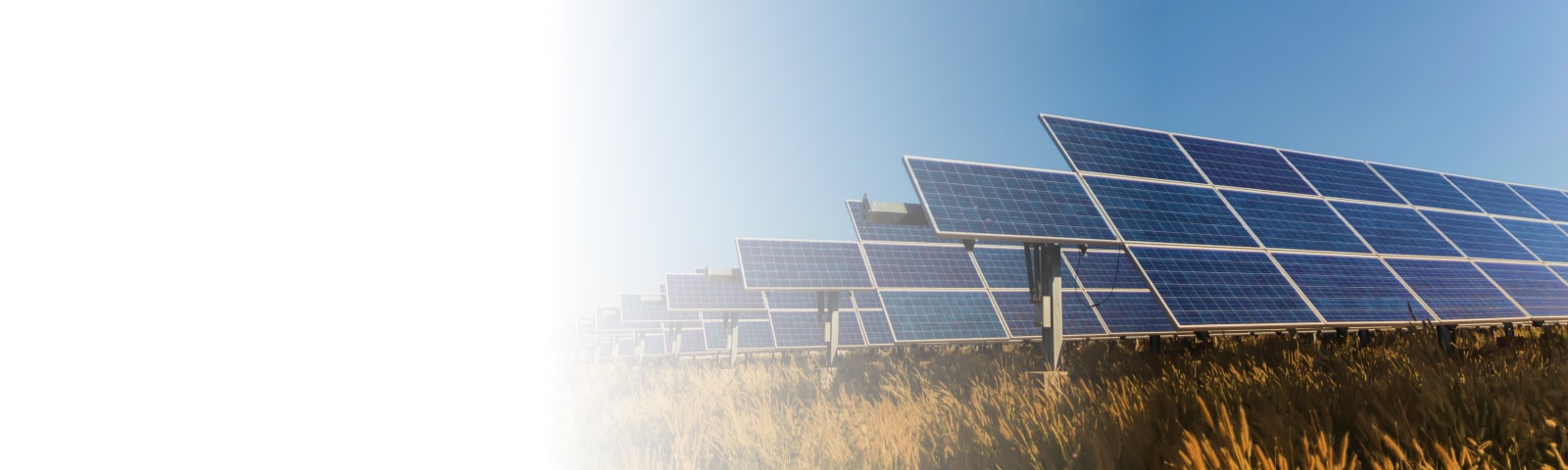 Rows of solar panels in a field