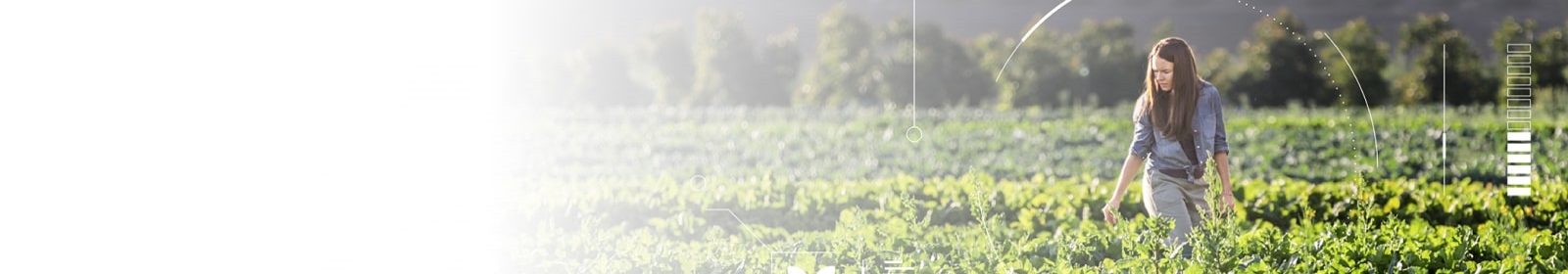 Woman farming in a field of crops