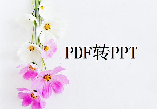 怎么转PDF为PPT？这4种方法可以轻松搞定转换！