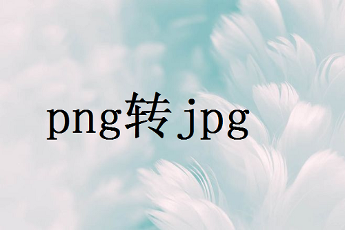 照片怎么转换成jpg格式？快试试这5个转换方法！