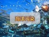 宜宾观赏鱼赔偿鉴定 淡水鱼评估鉴定