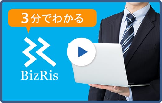 3分でわかるBizRis動画