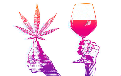 Daily Cannabis Use Soars, Surpasses Daily Drinking