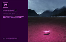 Premiere Pro 从入...