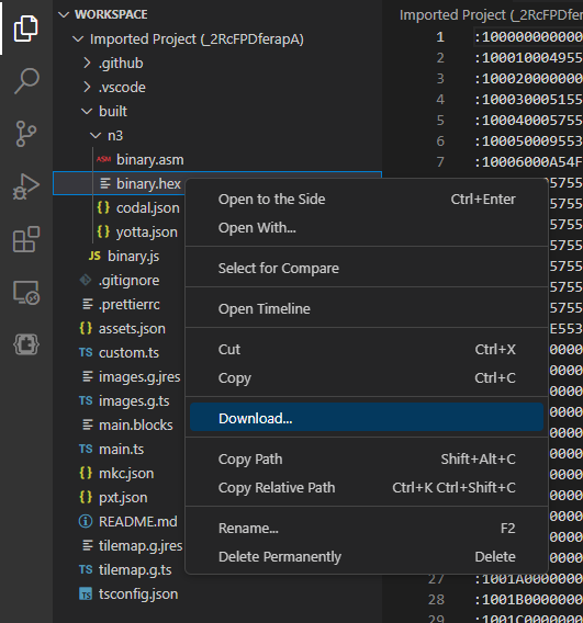 Screenshot of VS Code with the right-click context menu open over the file binary.hex