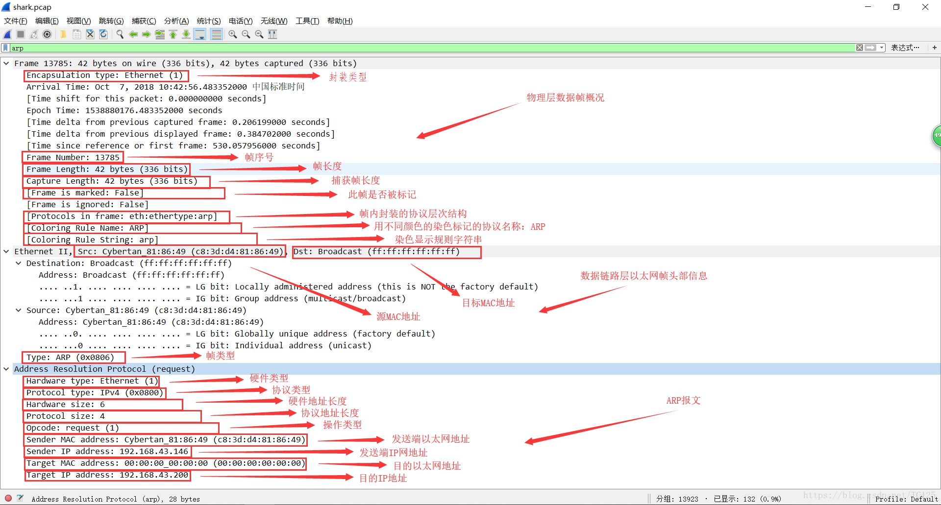 ARP Protocol Analysis