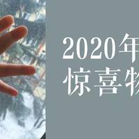 2020年带娃惊喜物总结