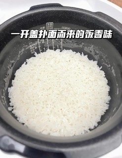 高颜值与实用性并存|电饭煲推荐