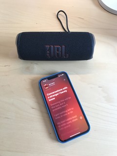 JBL Flip 6 蓝牙音响