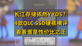 国产QLC颗粒继续YYDS？4款QLC SSD硬核横评，看看谁是性价比之王