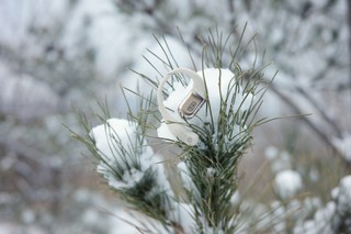 白雪是最好的产品背景