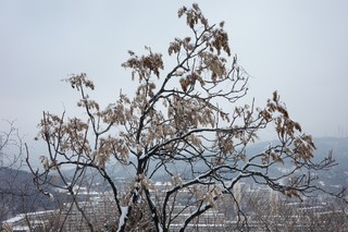 白雪是最好的产品背景