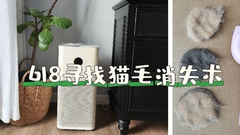 618购物狂欢节，与钱包君寻找猫毛消失术