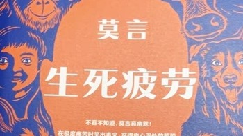 看完大师的书豁然开朗