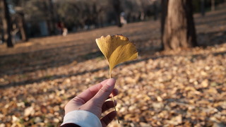 正式成为“富”家千金啦（对！我原价抢到了大热的富士x100vi）