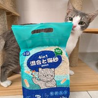 嬉皮狗小苏打猫砂，为爱猫提供最佳如厕体验！