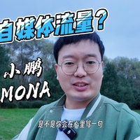 给我的小鹏MONA改个外观，会带来流量吗？