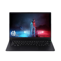 VAIO FH14 侍14 Pro 14英寸笔记本电脑（i7-11370H、16GB、1TB SSD、GTX1650Ti）