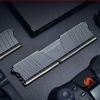 Asgard 阿斯加特 洛极 T2系列 DDR4 2666MHz 台式机内存 马甲条