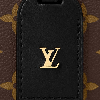 LOUIS VUITTON 路易威登 PETITE MALLE SOUPLE系列 女士手袋 M45571 黑色