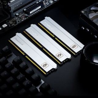 Asgard 阿斯加特 弗雷系列 钛银甲 DDR5 5200MHz 台式机内存 马甲条