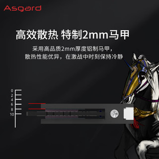 Asgard 阿斯加特 金伦加&TUF联名款 DDR5 6400MHz 台式机内存 马甲条 黑色 C32