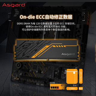 Asgard 阿斯加特 金伦加&TUF联名款 DDR5 6400MHz 台式机内存 马甲条 黑色 C32