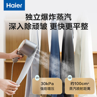 Haier 海尔 手持熨烫机HY-YM1208S