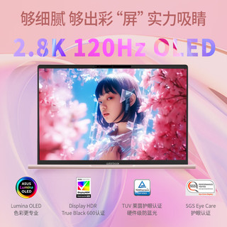 ASUS 华硕 a豆14 Air 八代锐龙版 14英寸 轻薄本