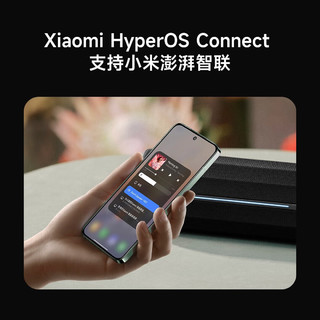 Xiaomi 小米 ASM02A 户外 蓝牙音箱 黑色