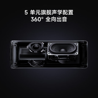 Xiaomi 小米 ASM02A 户外 蓝牙音箱 黑色