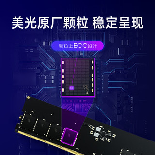 Crucial 英睿达 Pro DDR5 6000MHz 台式机内存 马甲条 黑色 32GB 16GBx2 C36