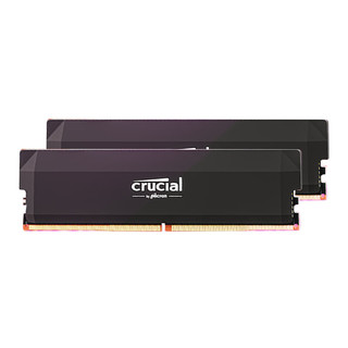 Crucial 英睿达 Pro DDR5 6000MHz 台式机内存 马甲条 黑色 32GB 16GBx2 C36