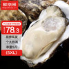 鲜京采【活鲜】生蚝5斤 5XL 10只左右 源头直发 露营烧烤 5XL号5斤(10只左右) 营养滋补