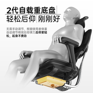 Ergonor保友金豪b2代人体工学椅办公椅子电脑椅游戏电竞椅子 黑色网 【金豪b2】黑色网（尼龙椅脚）