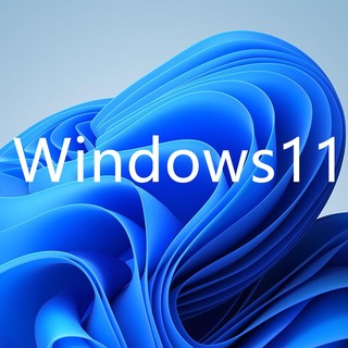 微软微软win10win11专业版授权解决企业化office copilot订阅 授权 copilot订阅服务含税