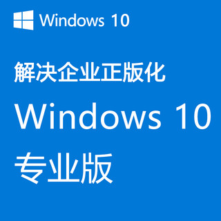 微软微软win10win11专业版授权解决企业化office copilot订阅 授权 copilot订阅服务含税