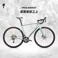 SPECIALIZED 闪电 ROUBAIX SL8 男/女耐力碳纤维骑行公路自行车 晨雾色/烟灰色 54