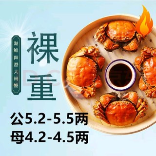 HUXIANYANGCHENG 湖鲜阳澄 大闸蟹 去绳足重 公5.2-5.5两母4.2-4.5两4对8只 鲜活现货螃蟹礼盒装