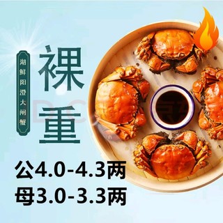 HUXIANYANGCHENG 湖鲜阳澄 大闸蟹 去绳足重 公4.0-4.3两母3.0-3.3两4对8只 鲜活现货螃蟹礼盒装