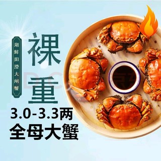 HUXIANYANGCHENG 湖鲜阳澄 大闸蟹 去绳足重 全母3.0-3.3两 8只 鲜活现货螃蟹水产礼盒装送礼