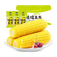 今日必买：啃糯 黄糯玉米 220g*10棒 带箱（有机玉米）