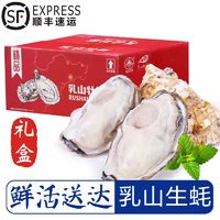 大号 乳山生蚝 4XL鲜活 2.5斤 （带官方溯源防伪标识、死蚝包赔）