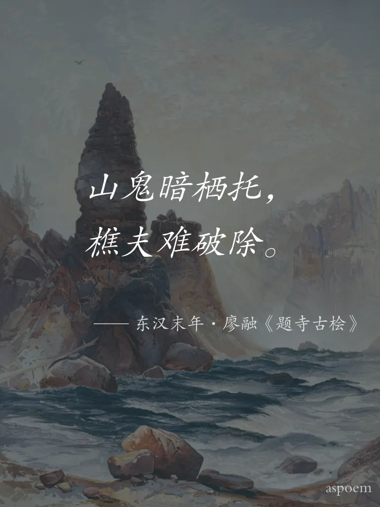 《题寺古桧》 | 诗词摘抄片段