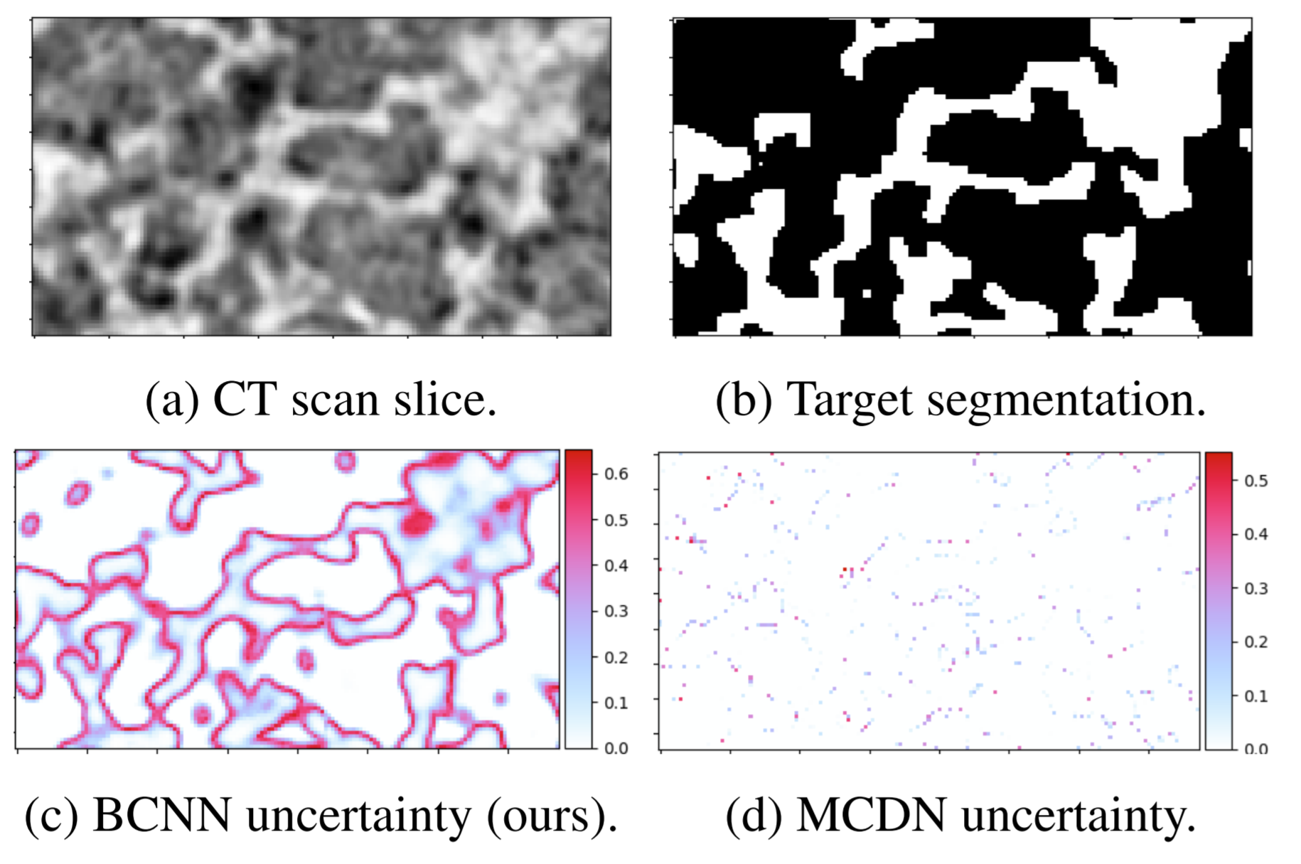 Diagram of BCNN uncertainty