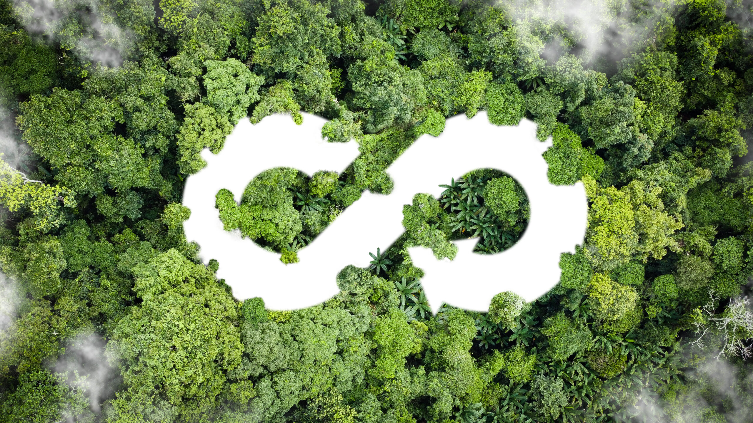 circular economy symbol