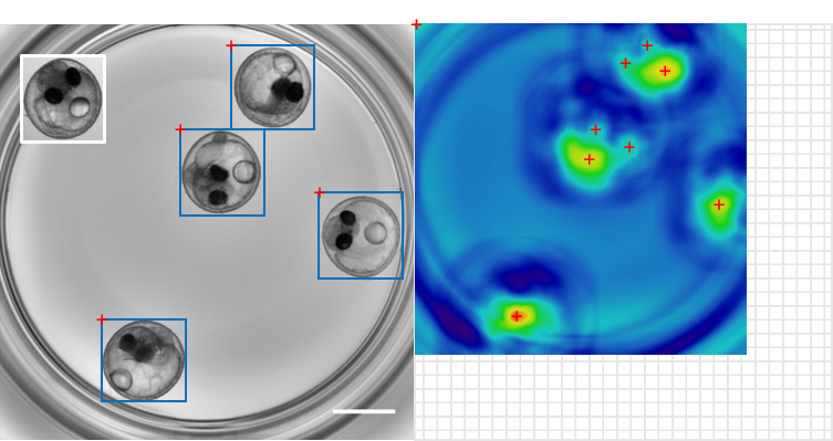 MultiTemplateMatching-Fiji