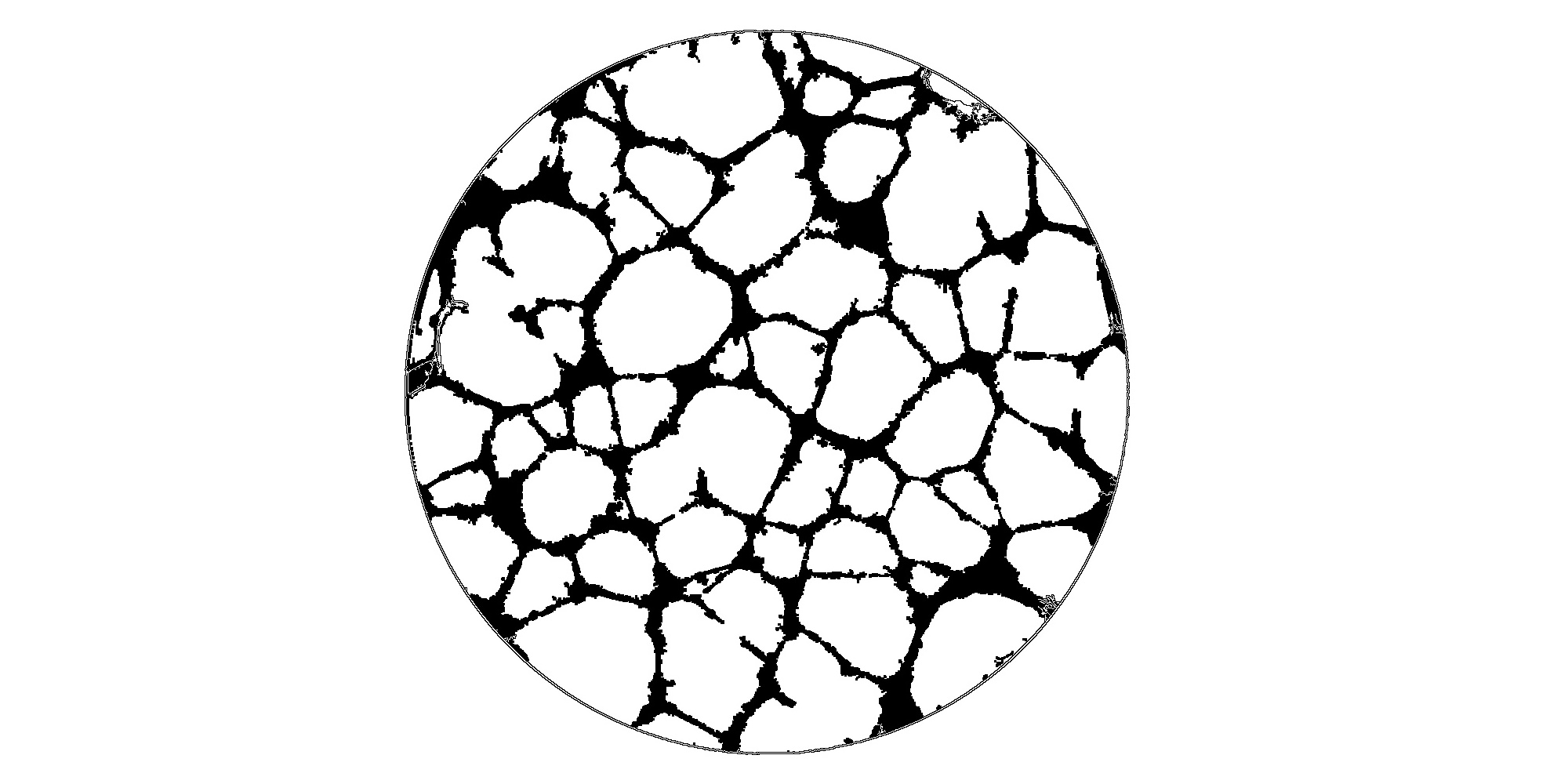 angiogenesis-analyzer