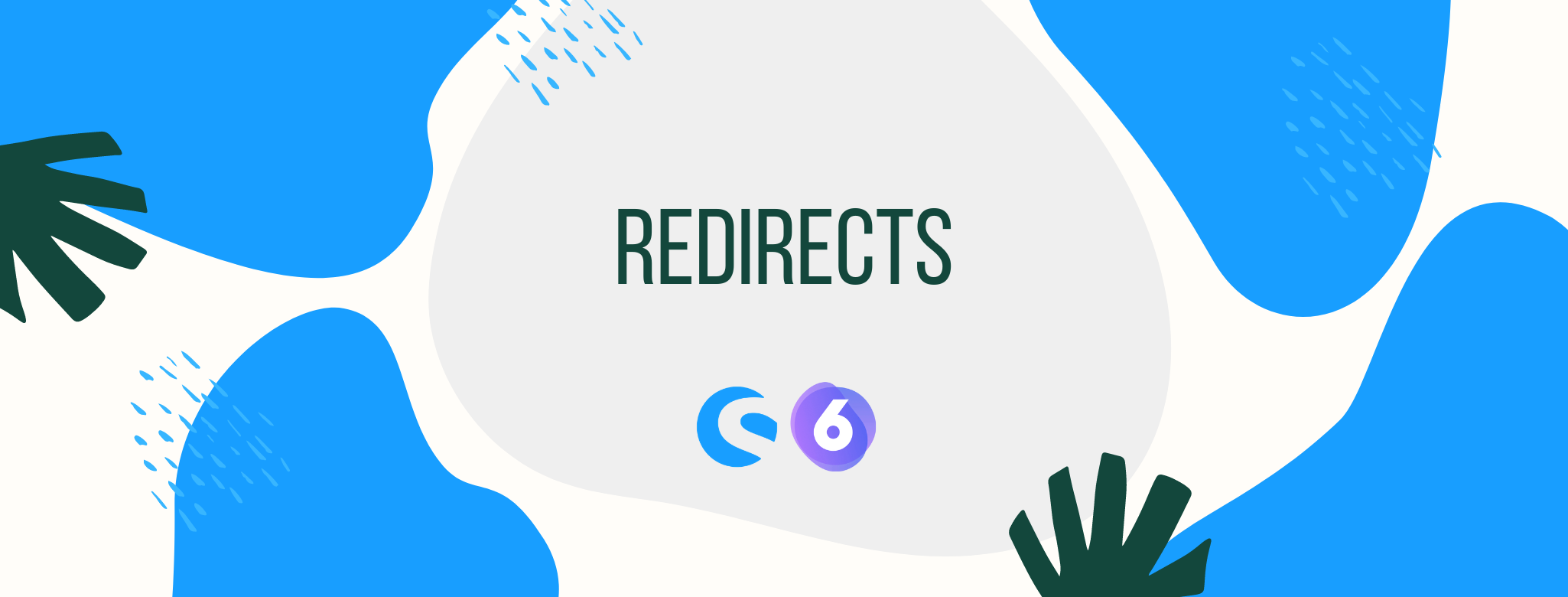 sw6-redirects