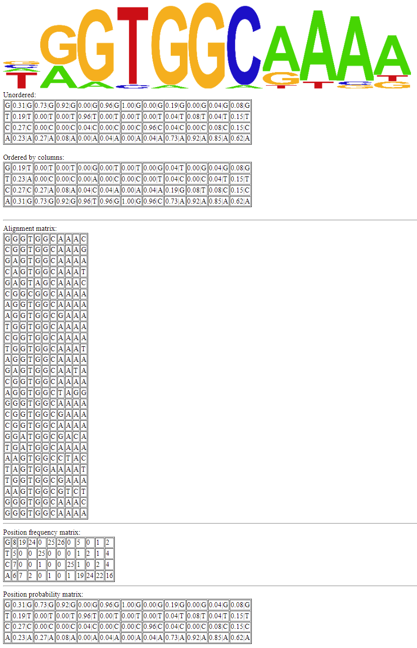 DNA-motif-sequences-to-Sequence-Logos